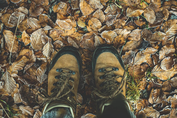 Schuhe fürs Gelände - die wichtigsten Infos zum passenden Schuhwerk