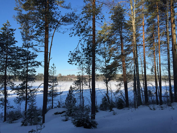Behavior in case of hypothermia – information and tips on the correct procedure 