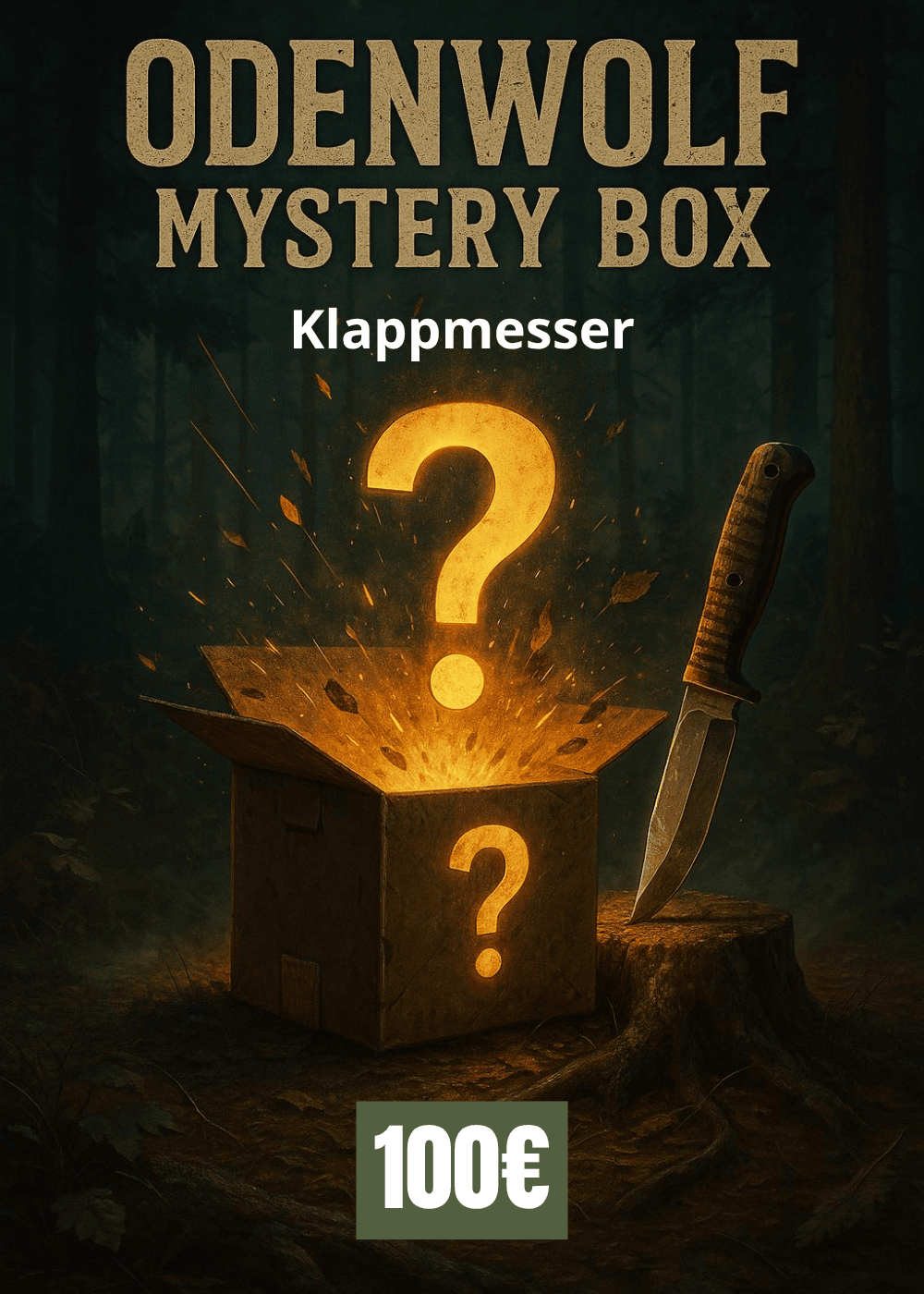 Mystery Box 100€ - Klappmesser