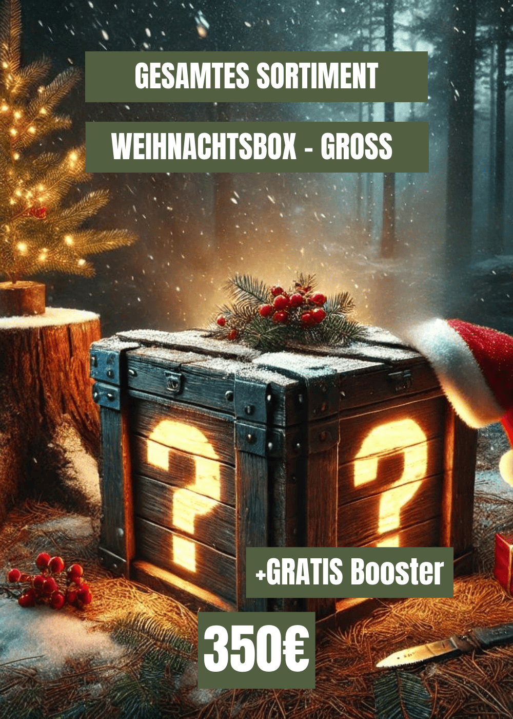 Große Weihnachts-Box (Inkl. GRATIS Booster) - Gesamtes Sortiment
